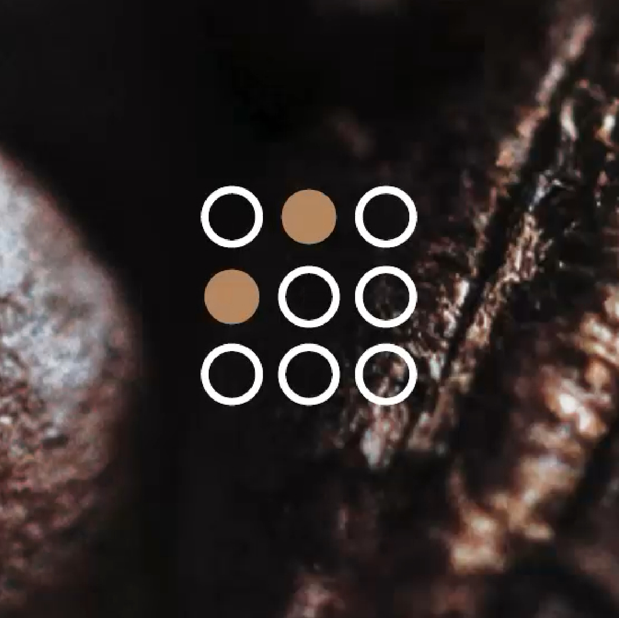 minimlistisches contrast logo, logoicon zeigt ein Grid aus Kreisen